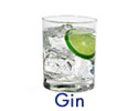 Gin